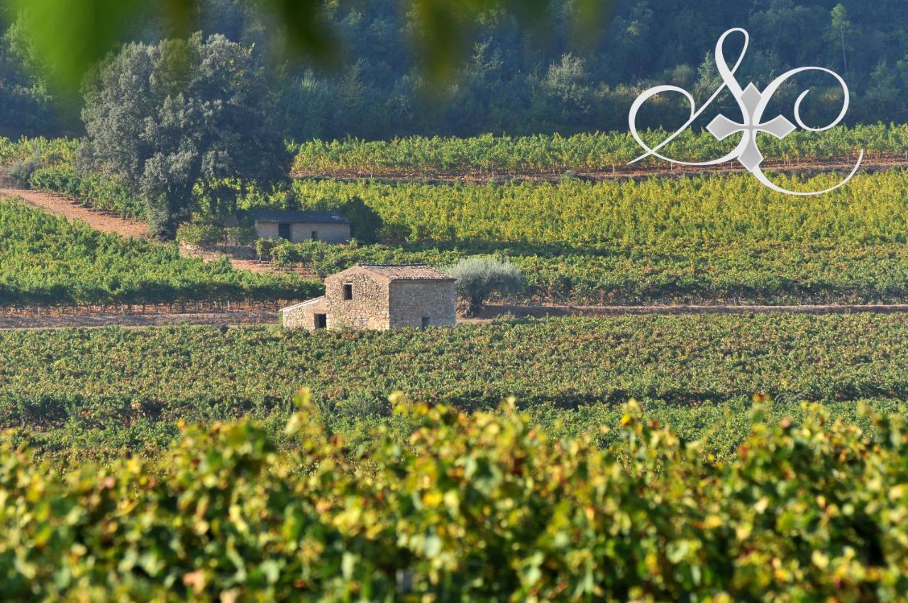 Chateau De Sainte Croix Carcès Esterno foto
